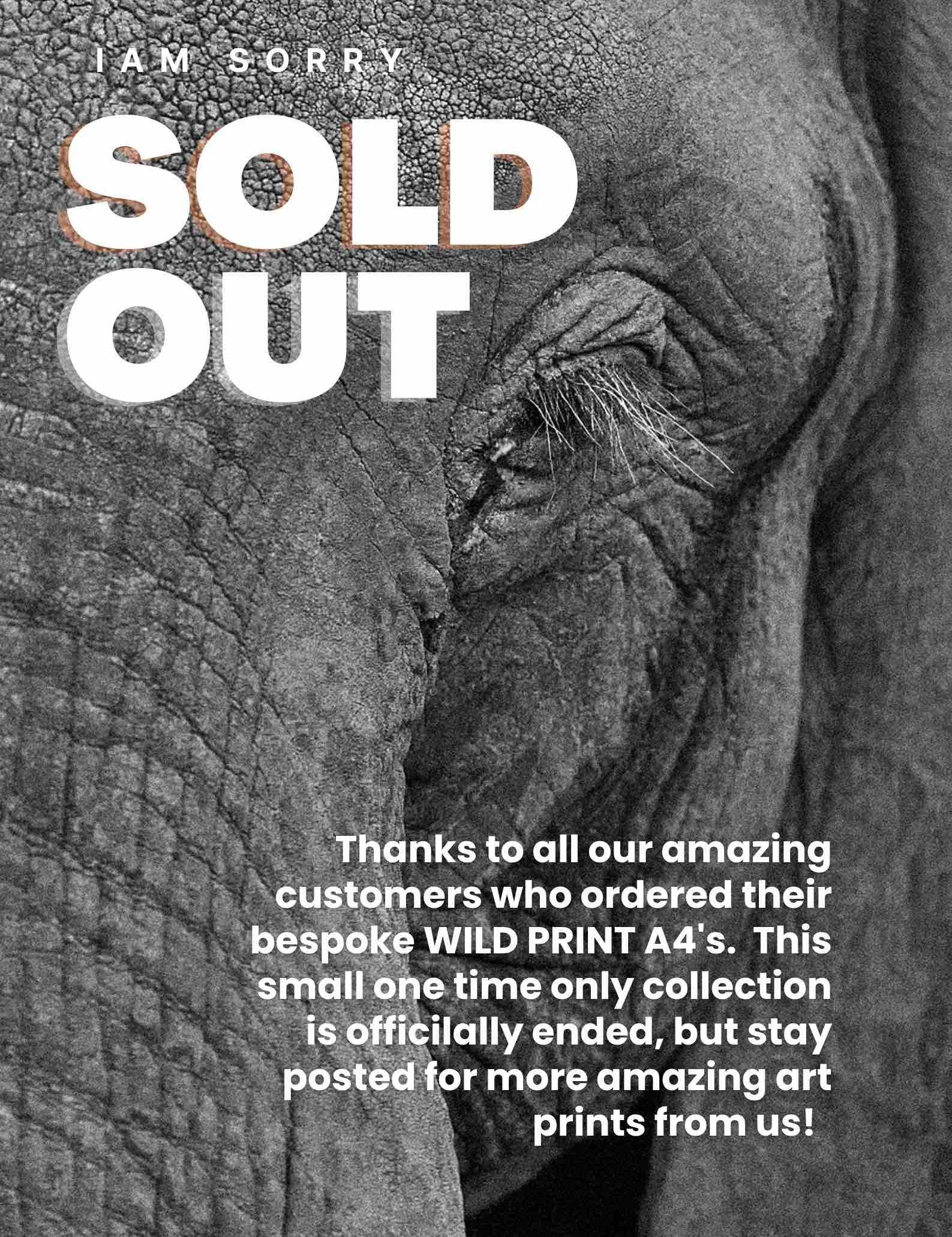 Our Wild Print Drop has come to an end!