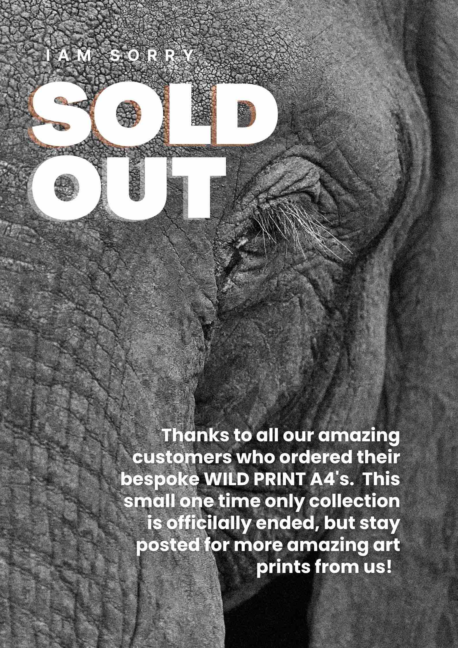 Our Wild Print Drop has come to an end!