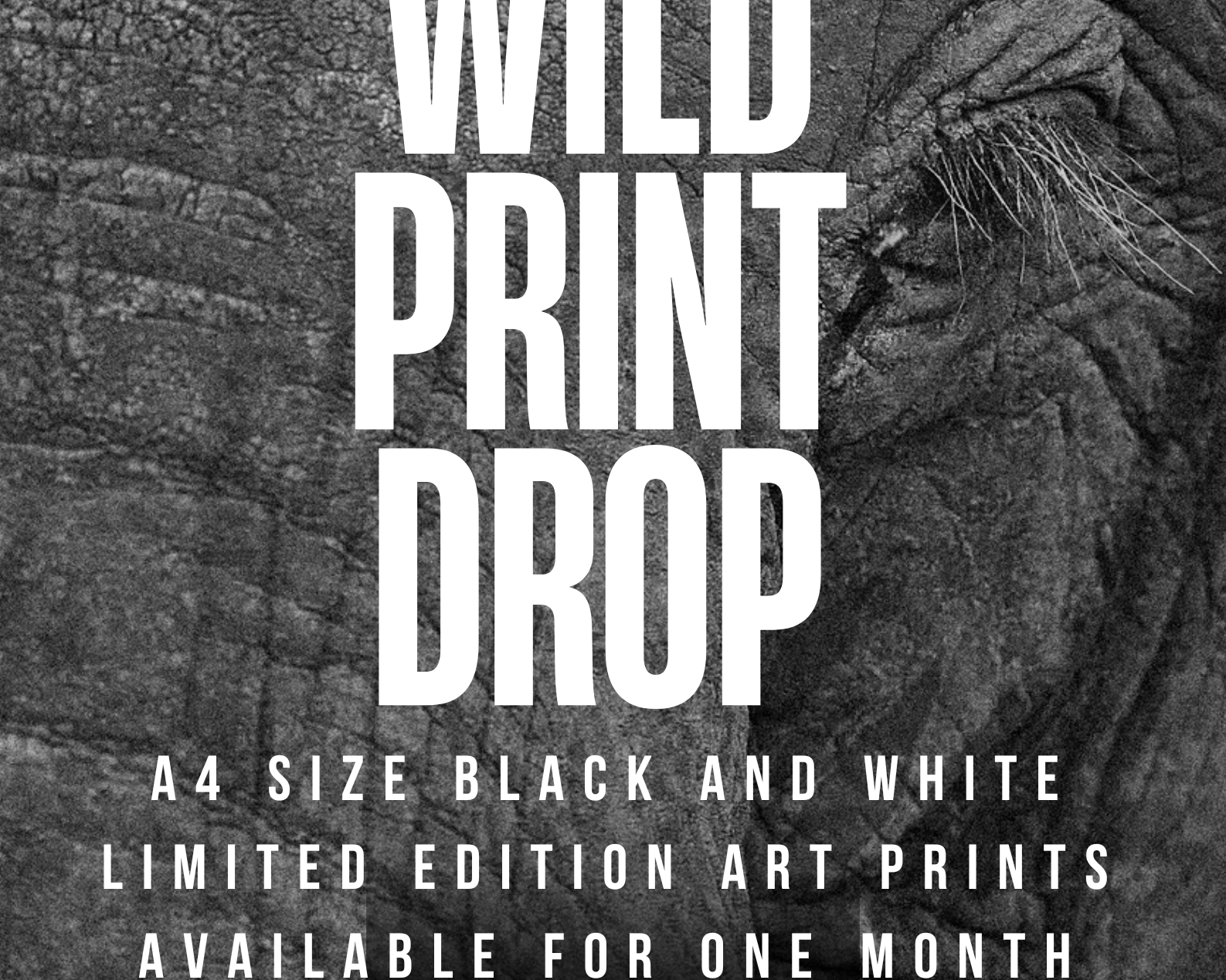 ITS THE WILD PRINT ART DROP