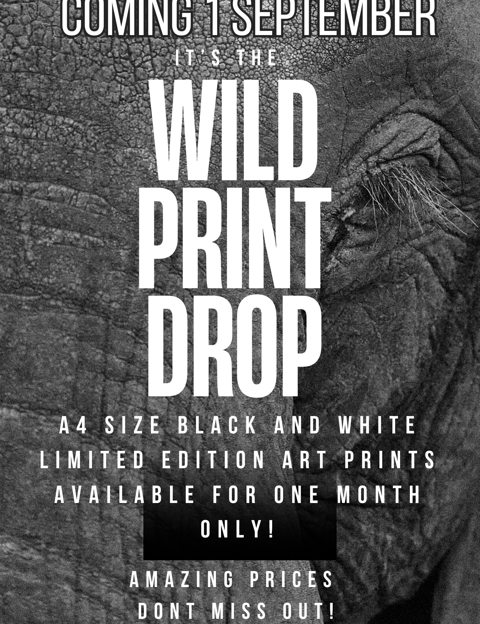 ITS THE WILD PRINT ART DROP