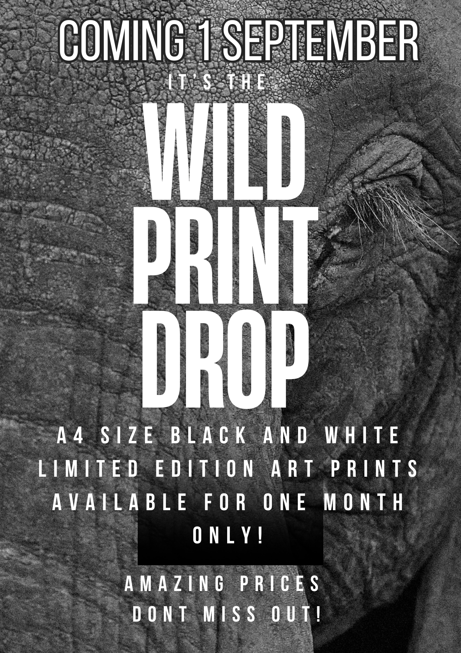 ITS THE WILD PRINT ART DROP