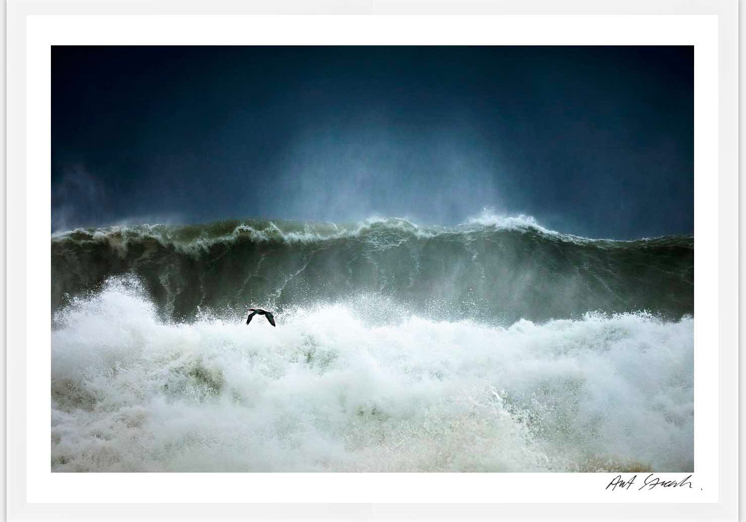 Seascape4whiteframeweb.jpg