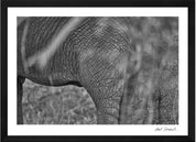 Wild Print 3: Black and White Photography Art Print A4.