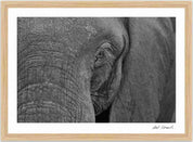 Wild Print 1: Black and White Photography Art Print A4.