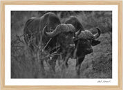 Wild Print 4: Black and White Photography Art Print A4.