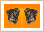 Wings of Desire: Photographic Art Print.