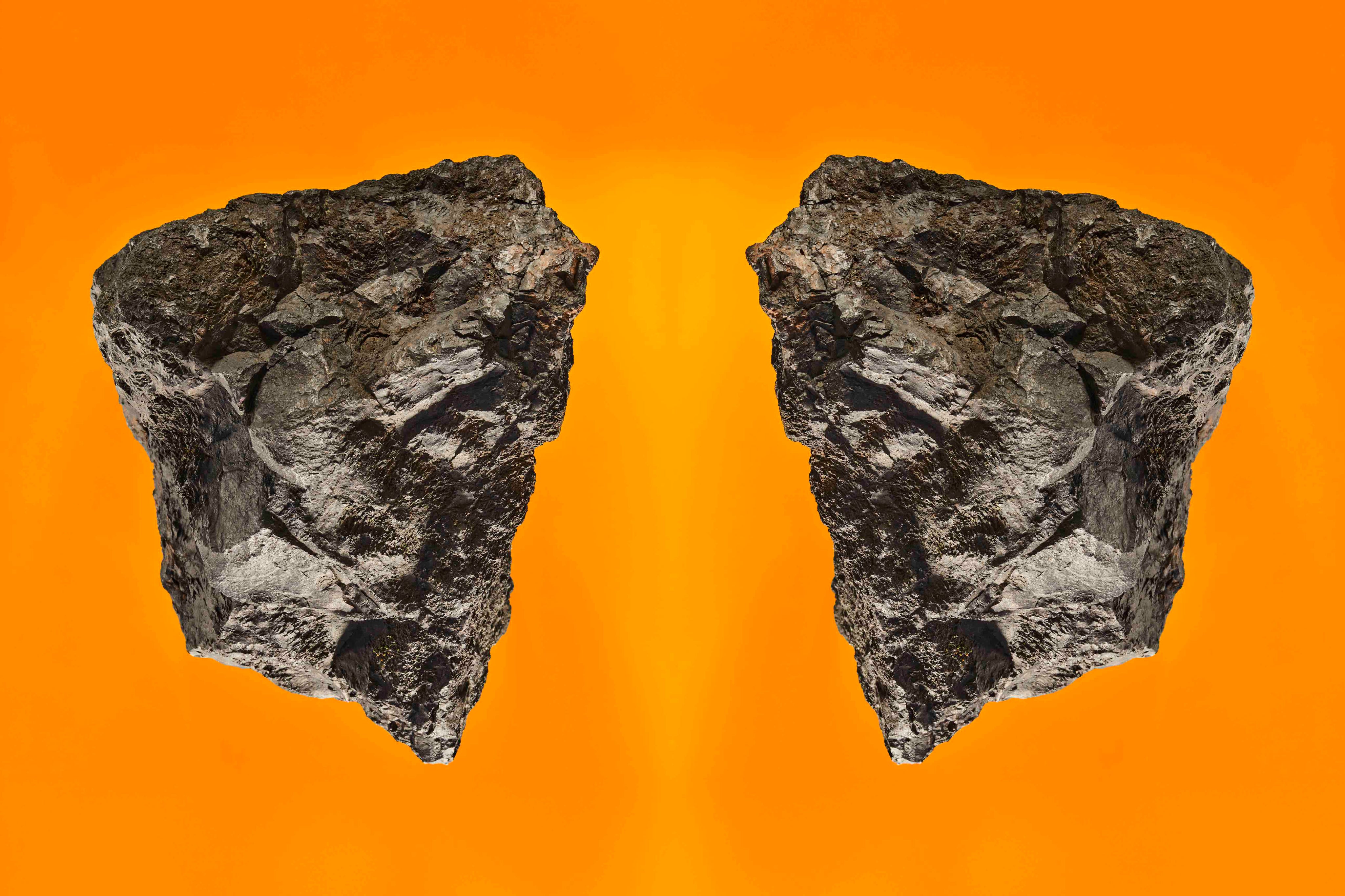 Wings of Desire: Photographic Art Print.