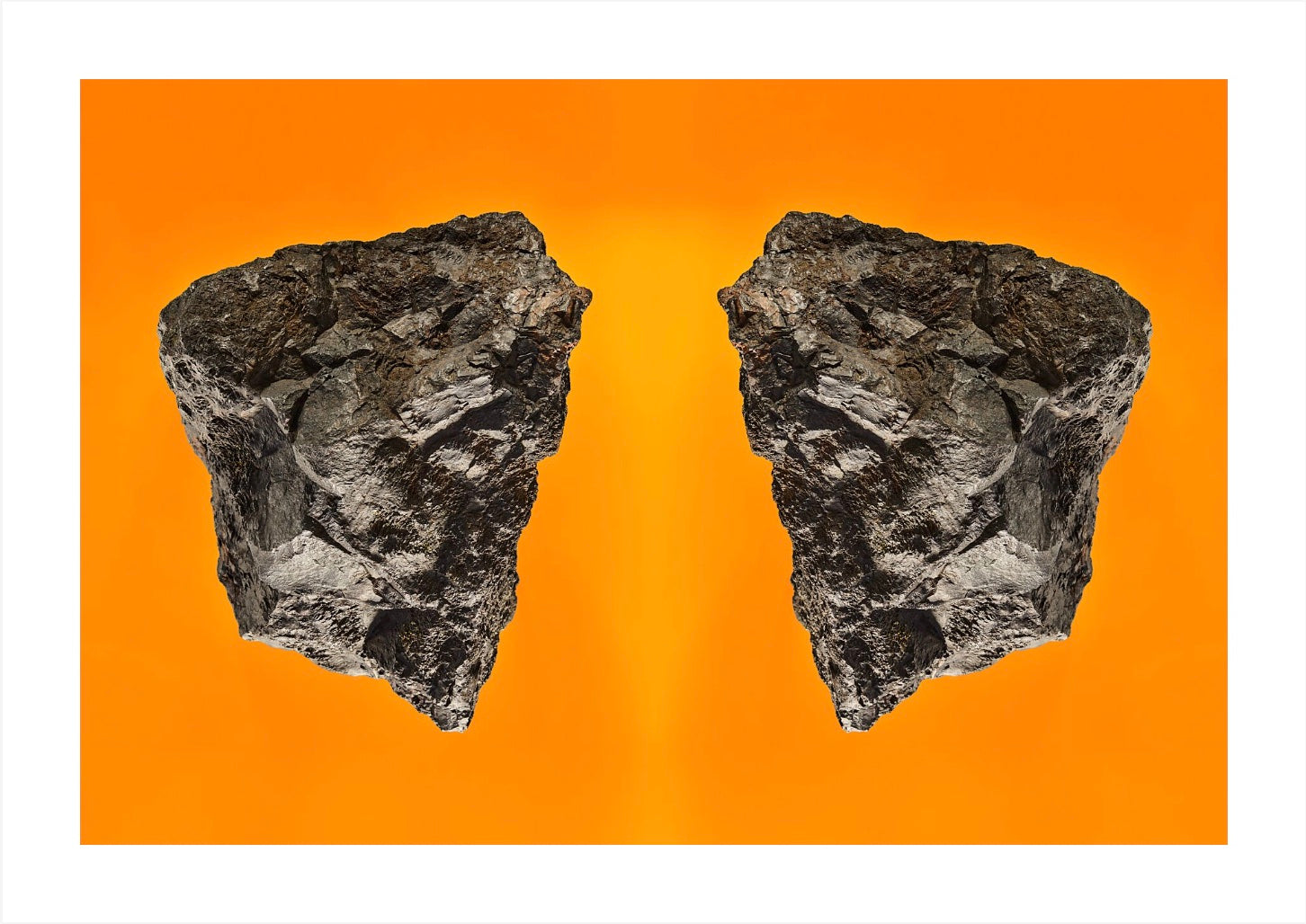 Wings of Desire: Photographic Art Print.