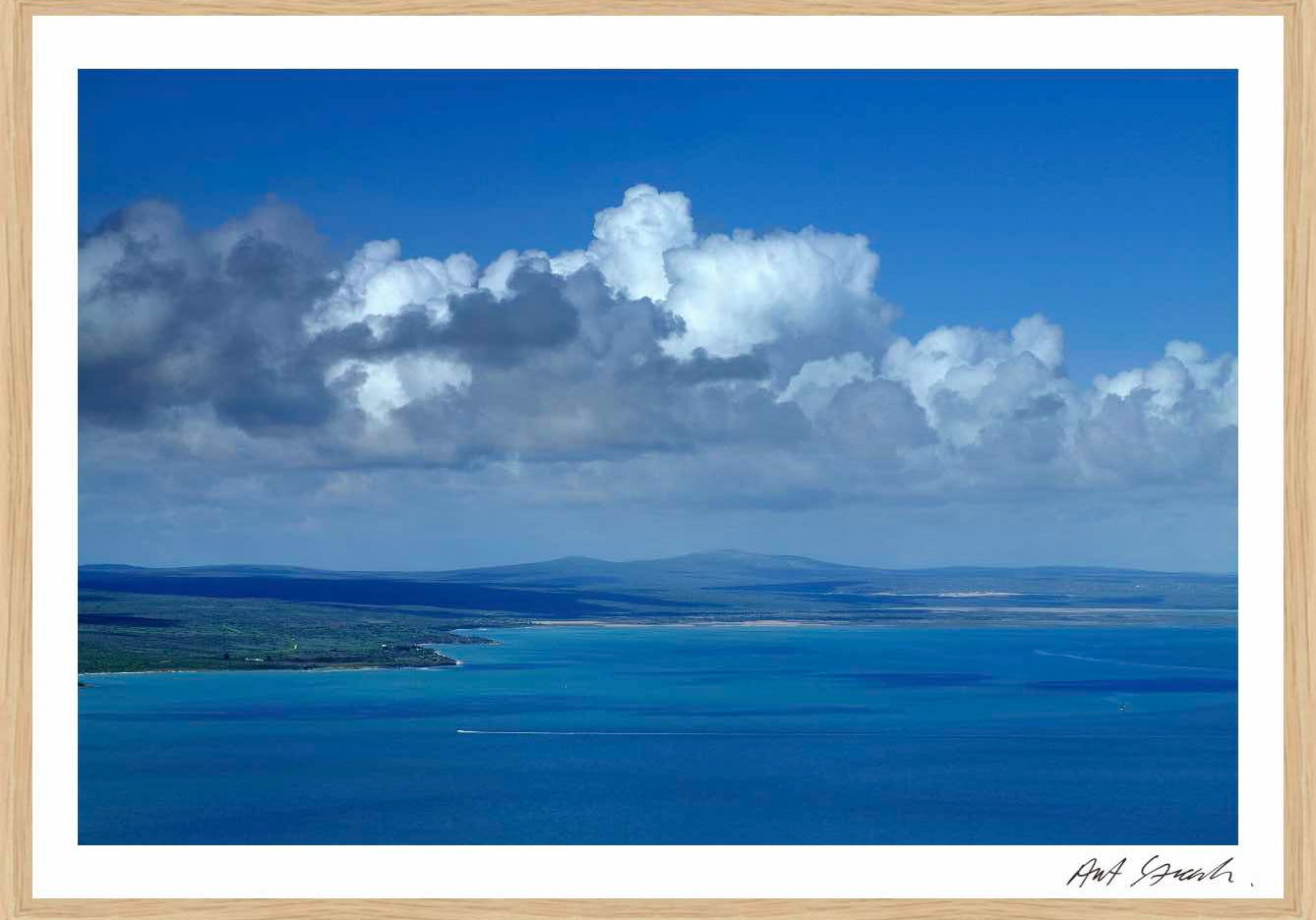 seascape5oakframeweb.jpg